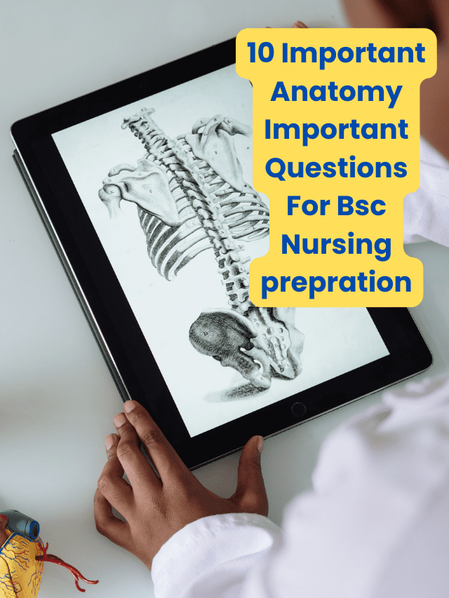 10 Important Anatomy Important Questions For Bsc Nursing prepration