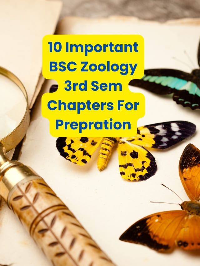 10 Important BSC Zoology 3rd Sem Chapters For Prepration