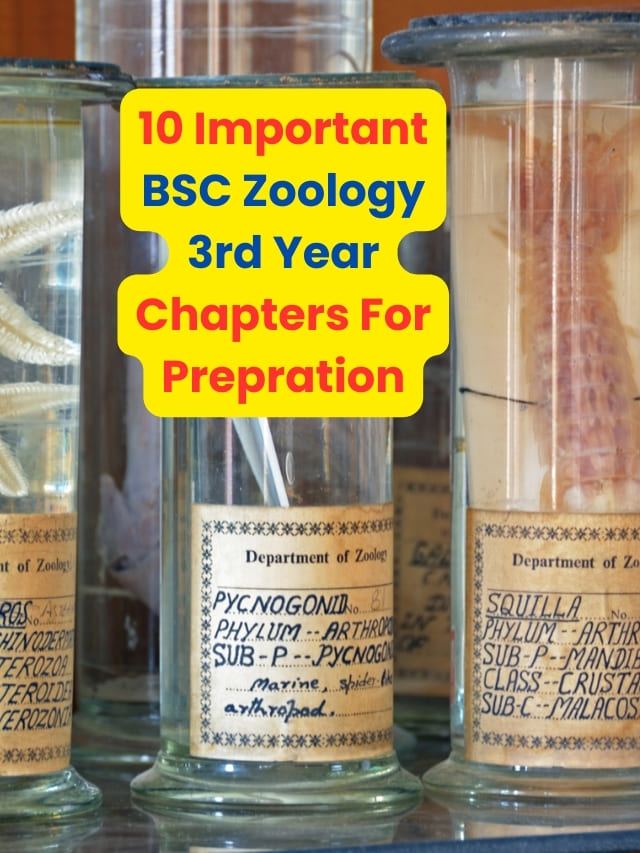 10 Important BSC Zoology 3rd Year Chapters For Prepration