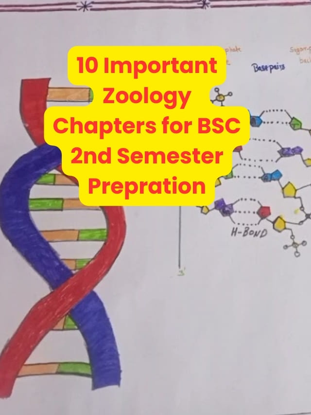 10 Important Zoology Chapters for BSC 2nd Semester Prepration