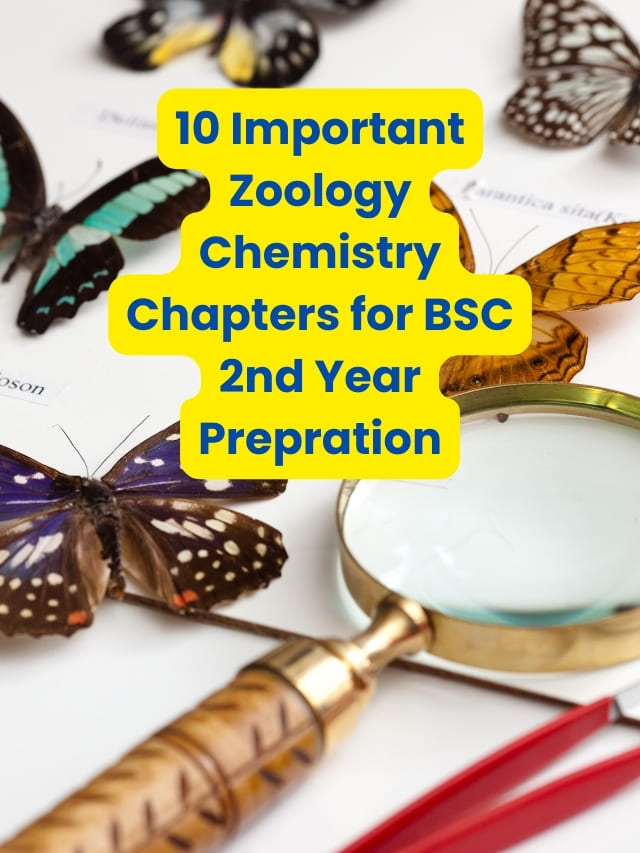 10 Important Zoology Chemistry Chapters for BSC 2nd Year Prepration