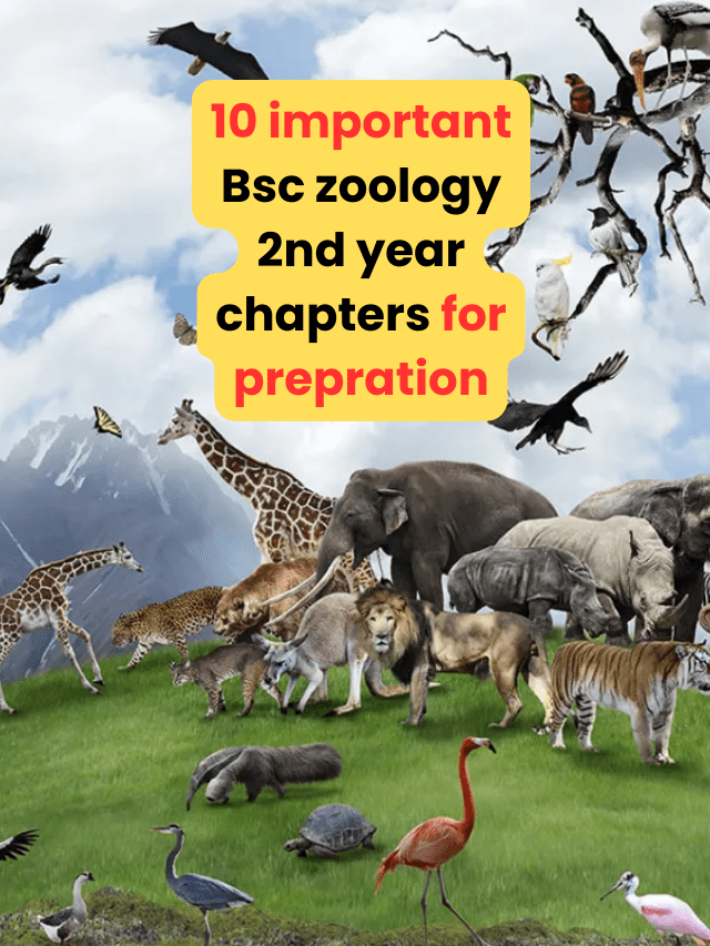 10 important bsc zoology 2nd year chapters for prepration