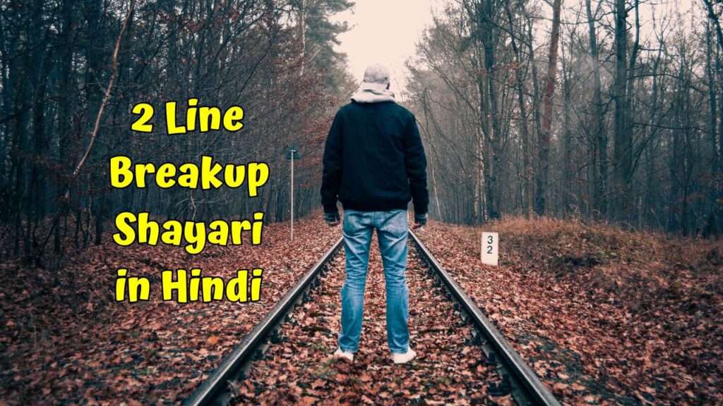2 Line Breakup Shayari in Hindi