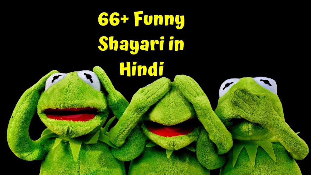 66+ Funny Shayari in Hindi