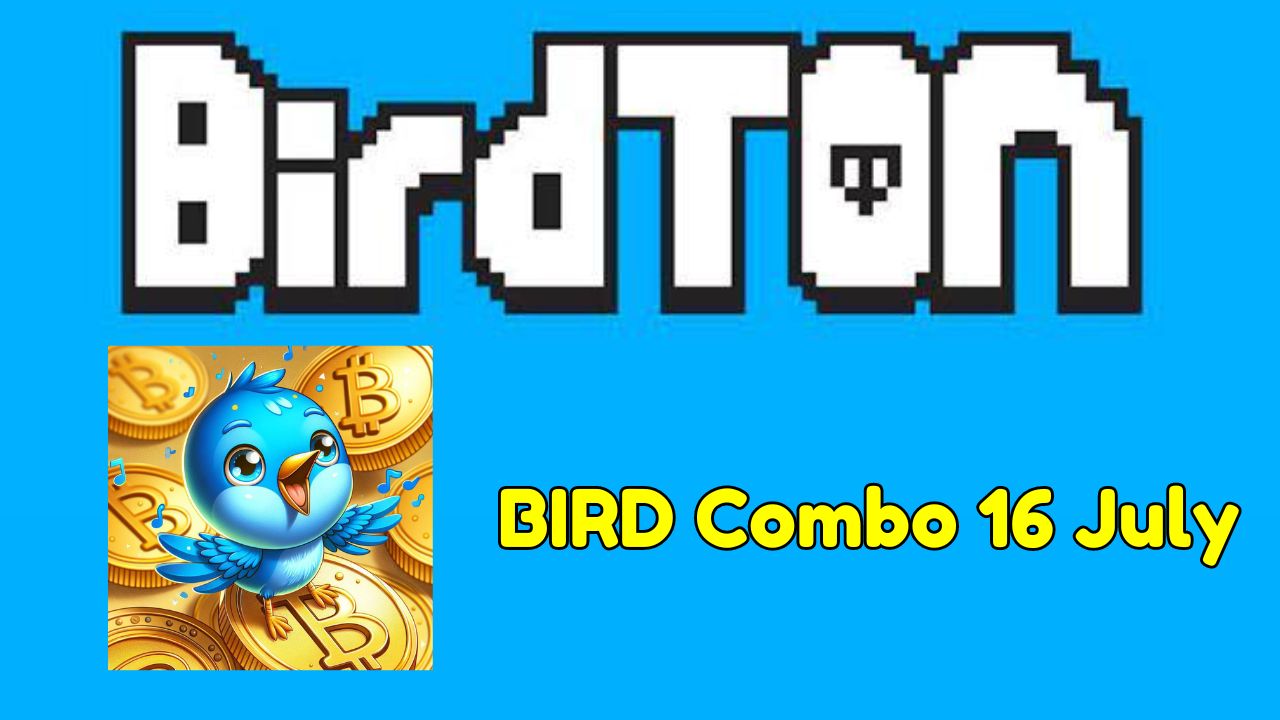 BIRD Combo 16 July