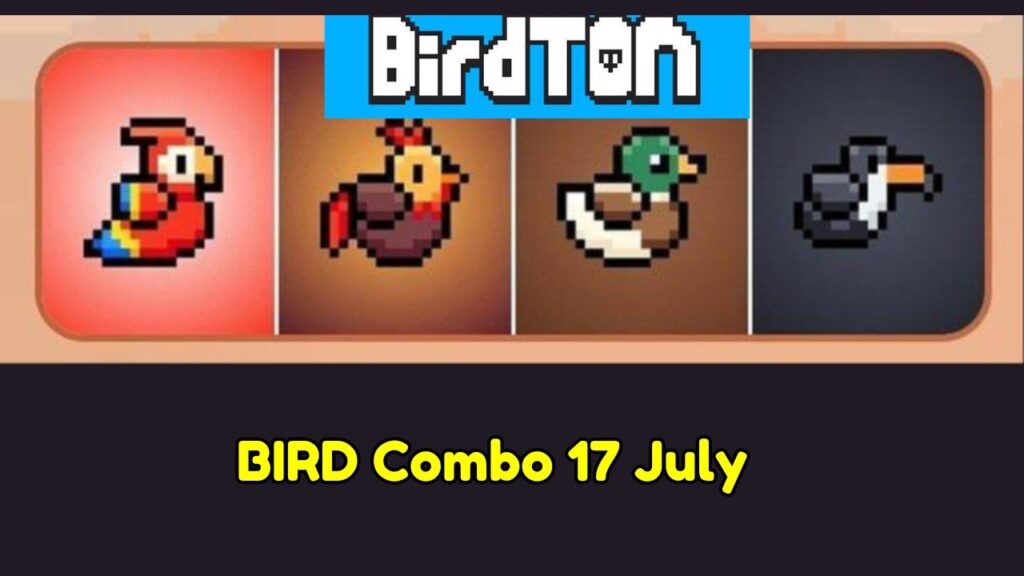 BIRD Combo 17 July