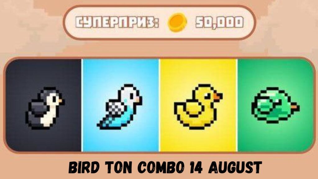 BIRD Ton Combo 14 August