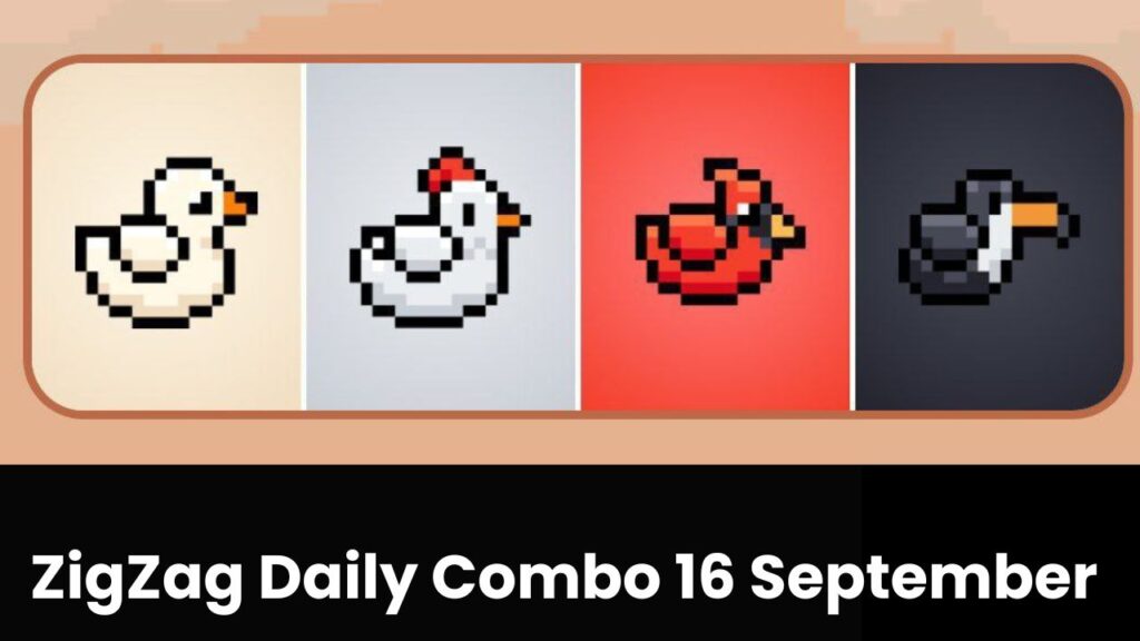 BIRD Ton Combo 16 September