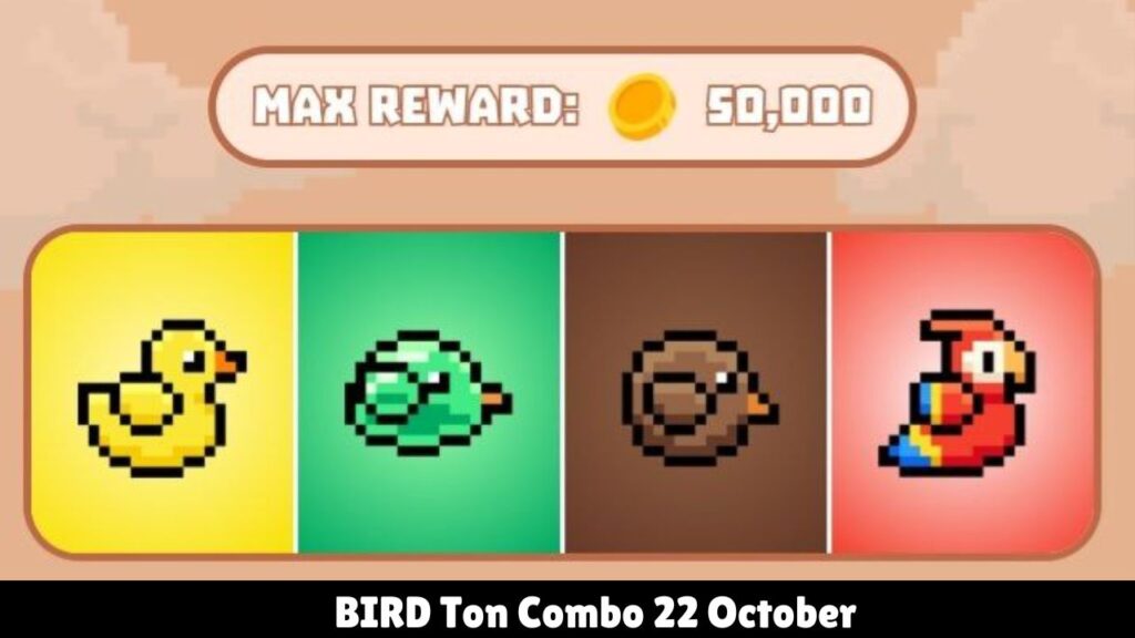 BIRD Ton Combo 22 October