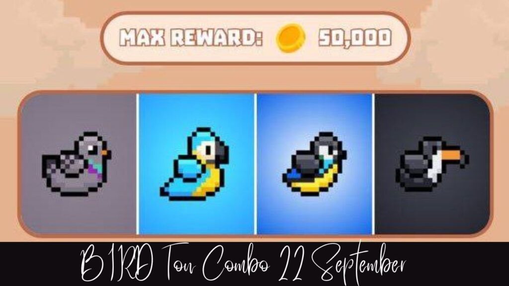 BIRD Ton Combo 22 September