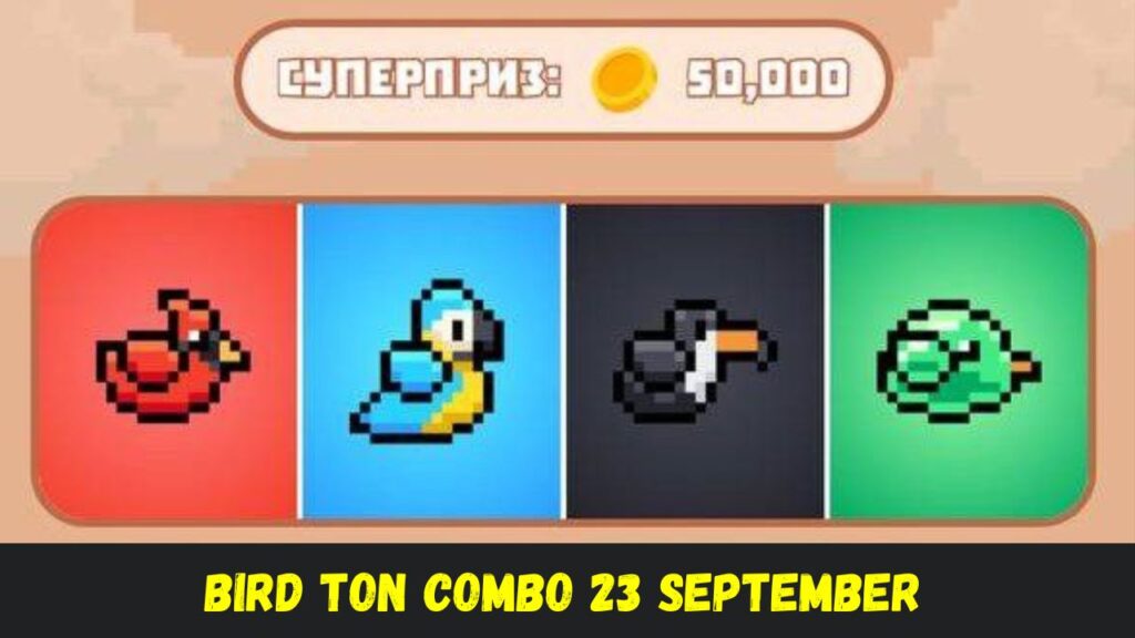 BIRD Ton Combo 23 September