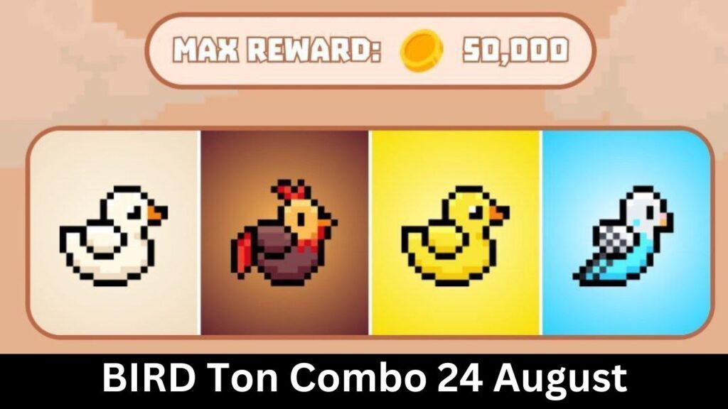 BIRD Ton Combo 24 August