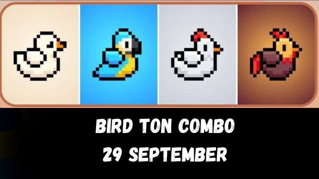 BIRD Ton Combo 30 September