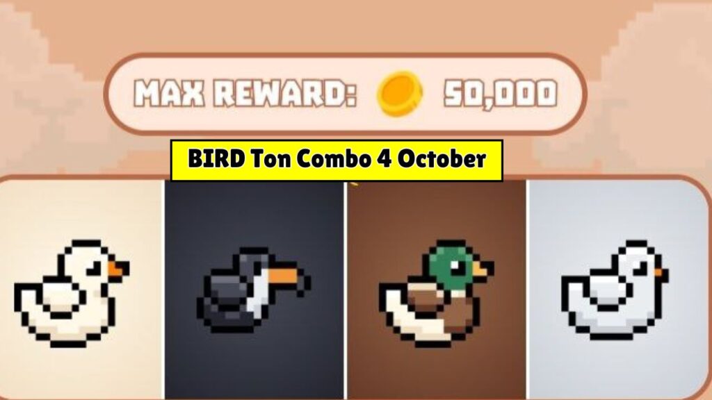 BIRD Ton Combo 4 October