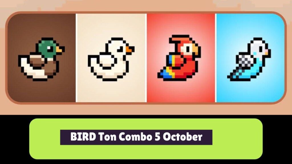 BIRD Ton Combo 5 October