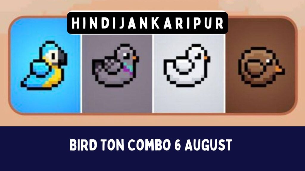 BIRD Ton Combo 6 August