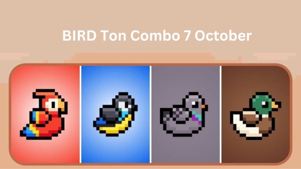 BIRD Ton Combo 8 October