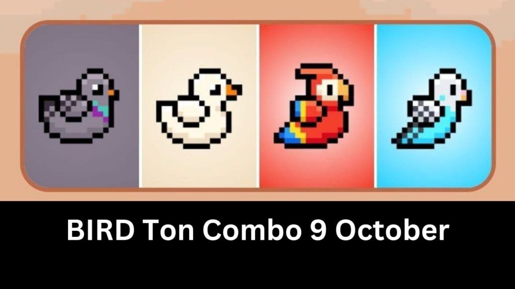 BIRD Ton Combo 9 October