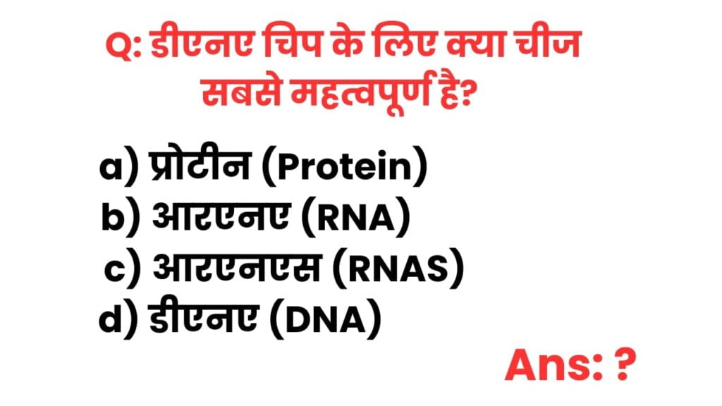 BSC Biotechnology Final Year Important Questions and Answers