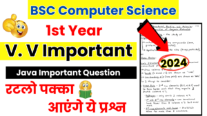 BSC Computer Science 1st Year Java Important Questions in Hindi