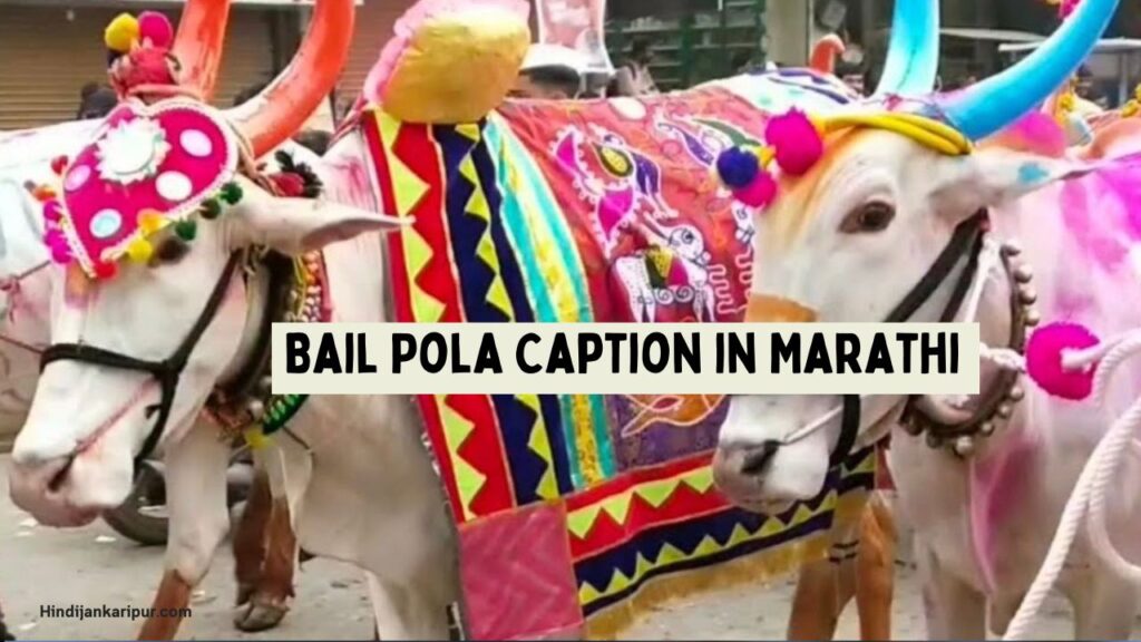 Bail Pola Caption in Marathi