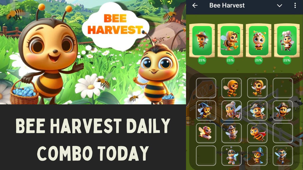 Bee Harvest Daily Combo Today