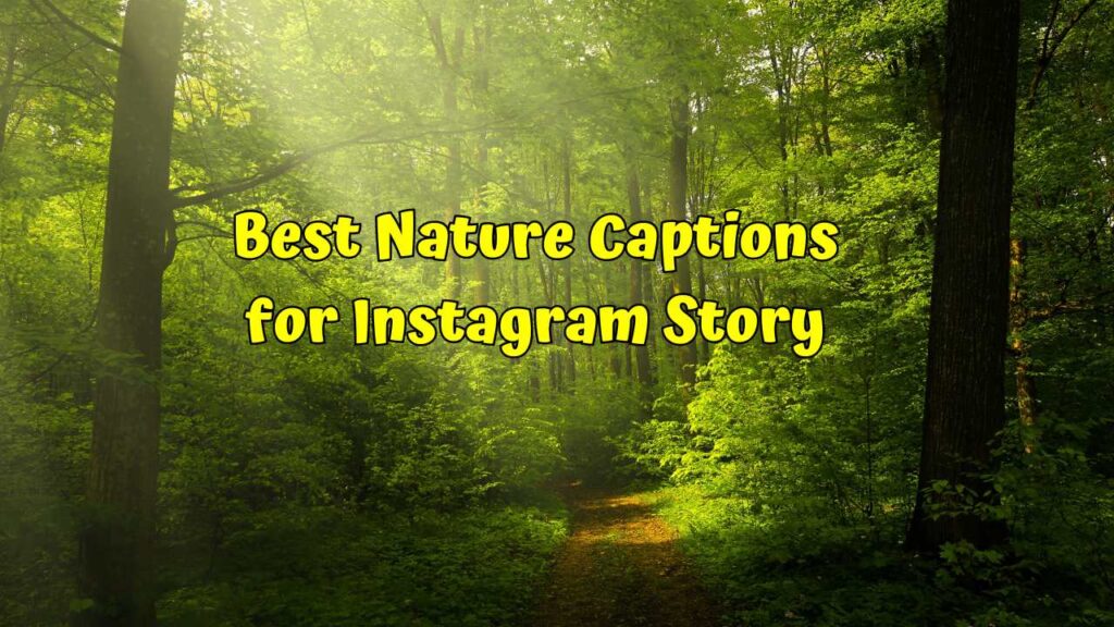 88+ Best Nature Captions for Instagram