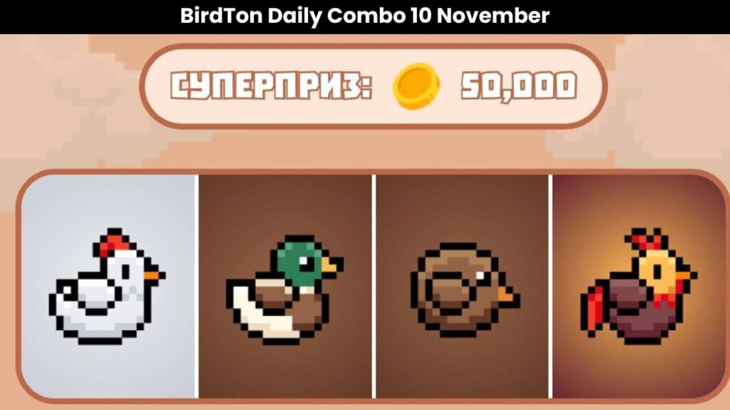 BirdTon Daily Combo 10 November