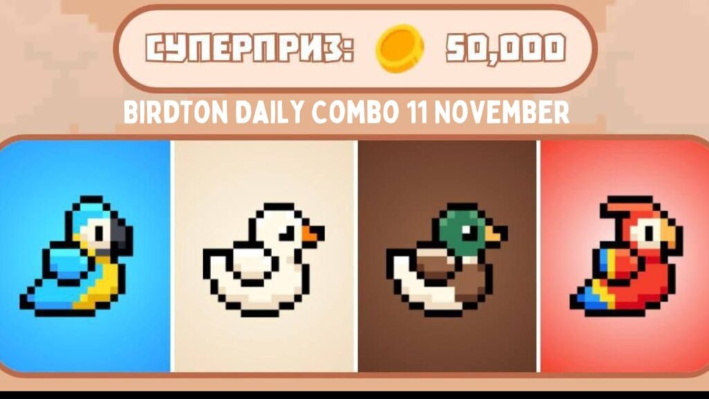 BirdTon Daily Combo 11 November