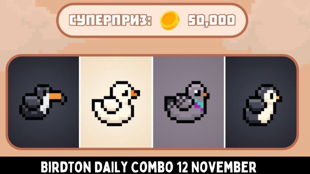 BirdTon Daily Combo 12 November