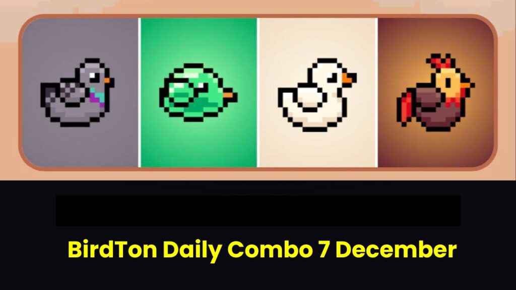 BirdTon Daily Combo 7 December