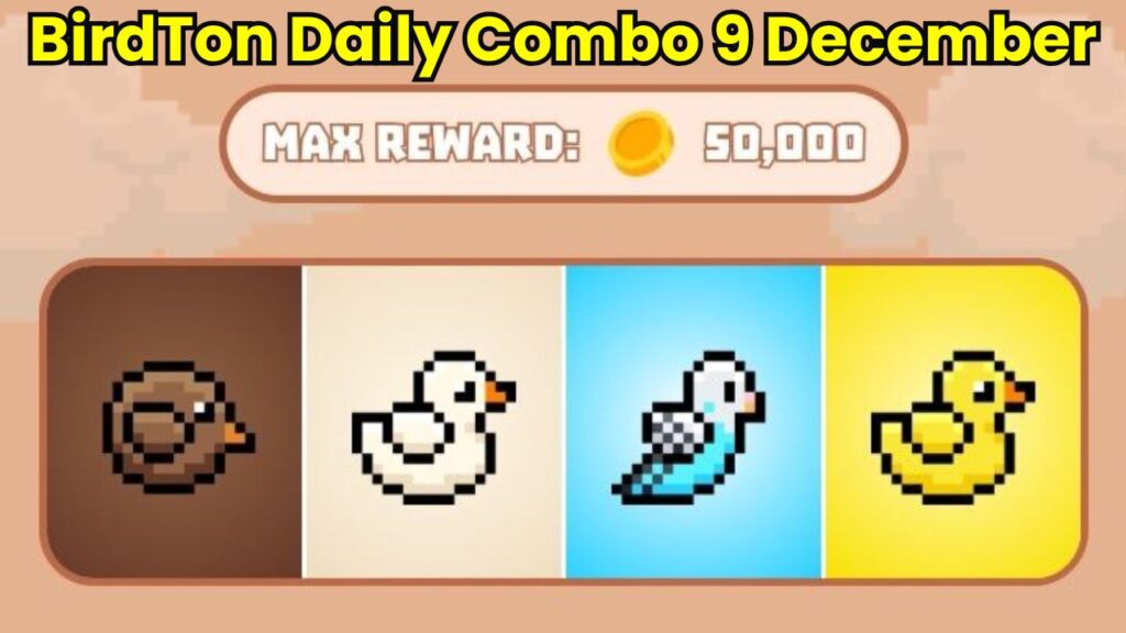 BirdTon Daily Combo 9 December