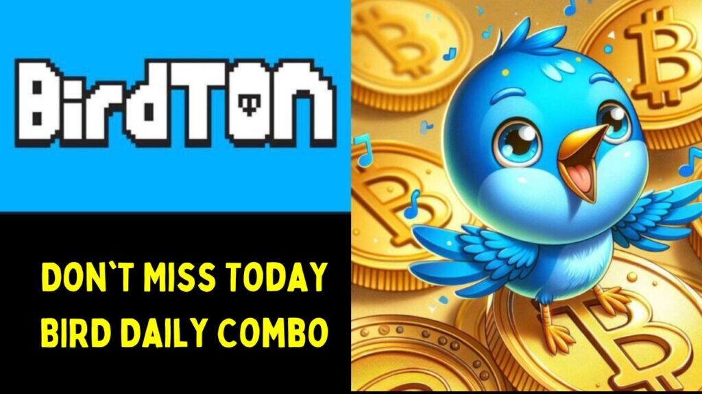 BirdTon Daily Combo For 5 November