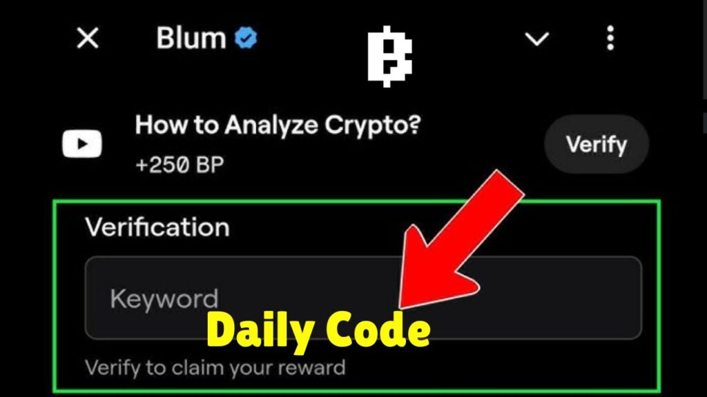 Blum Daily Video Code 