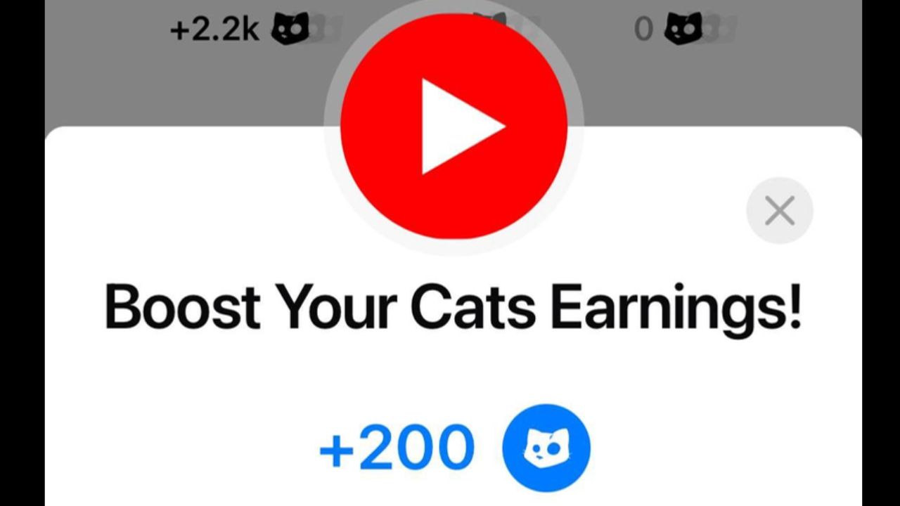 Boost Your Cats Earning Cats Video Code