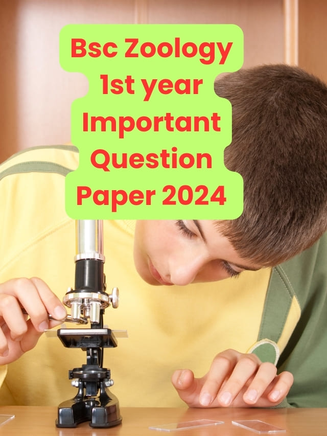 Bsc Zoology 1st year important question paper 2024