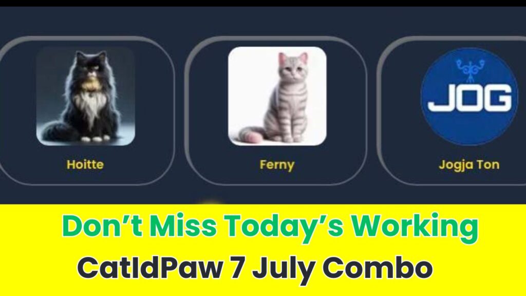 CatIdPaw 7 July Combo 