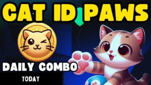 CatIdPaw daily combo