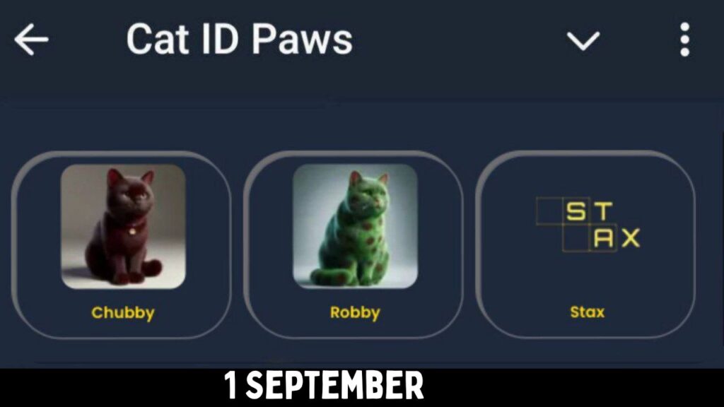 CatIdPaw daily combo 1 September