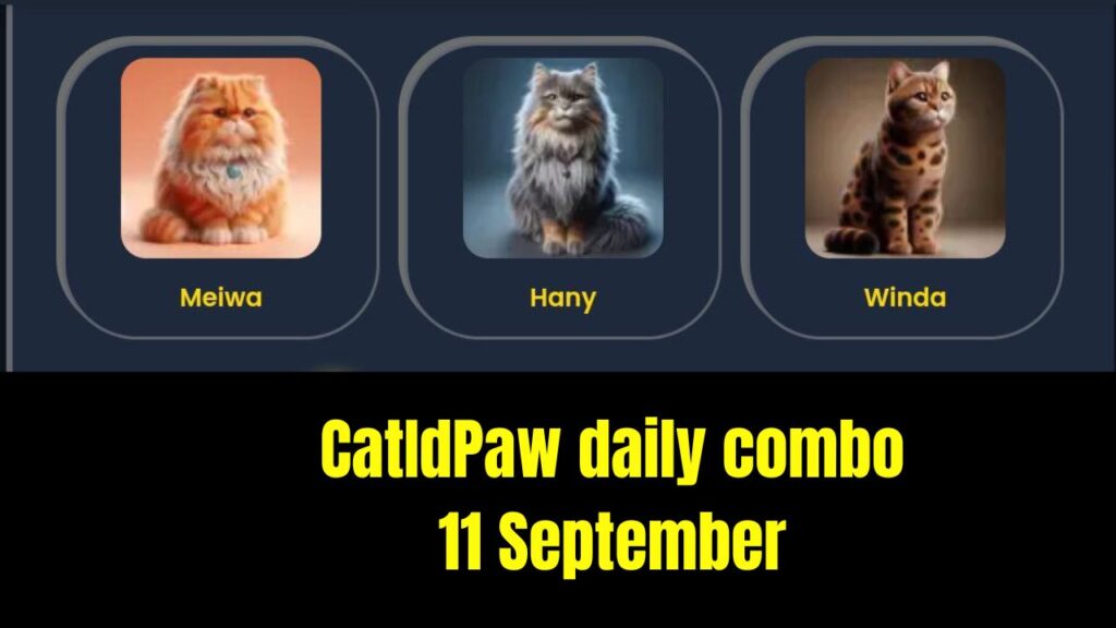 CatIdPaw daily combo 11 September