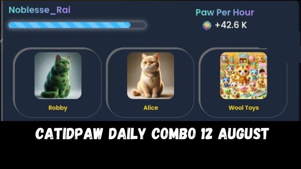 CatIdPaw daily combo 12 August