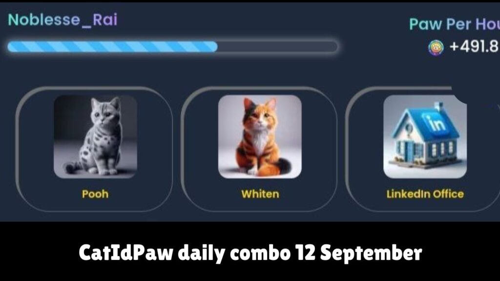 CatIdPaw daily combo 12 September