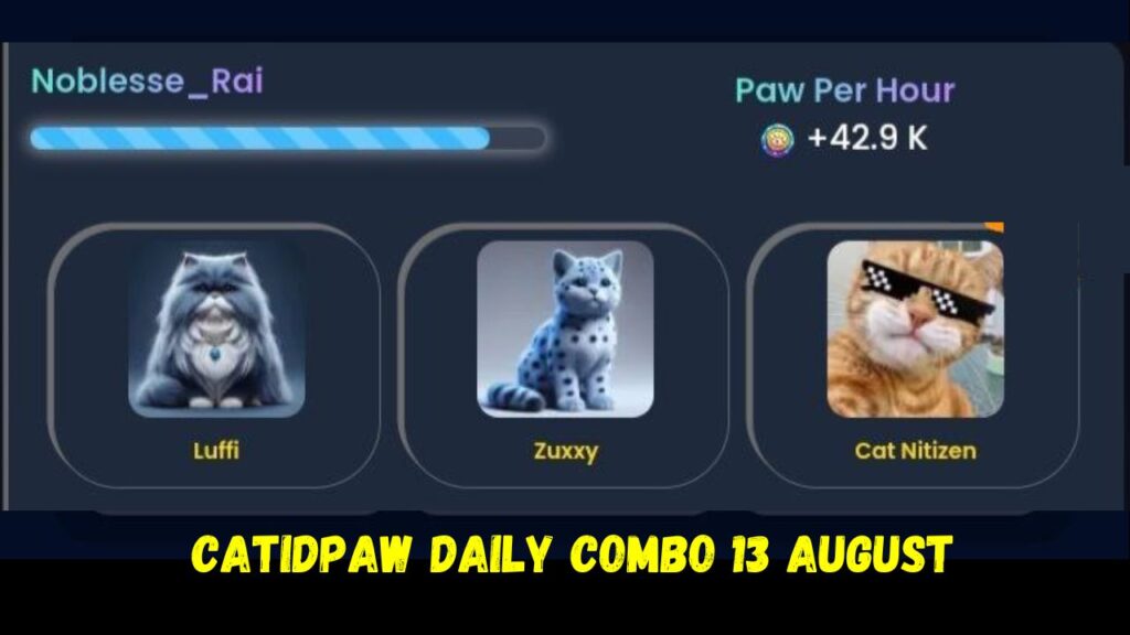 CatIdPaw daily combo 13 August