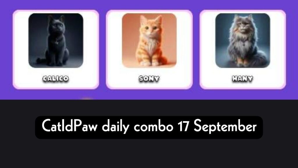 CatIdPaw daily combo 18 September