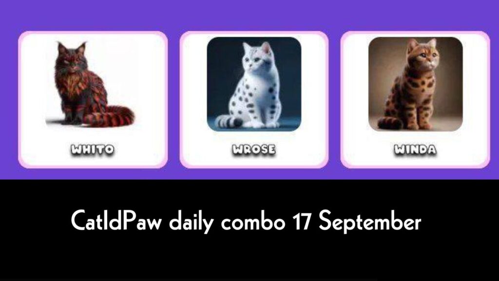 CatIdPaw daily combo 17 September