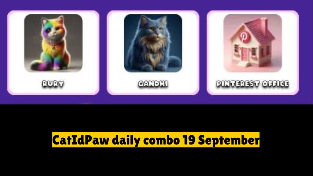 CatIdPaw daily combo 19 September