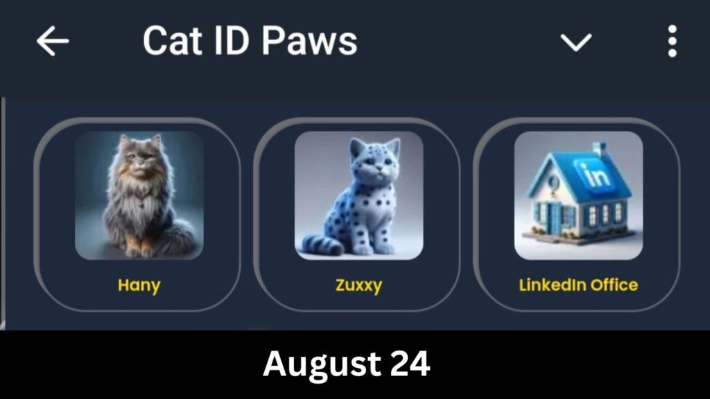 CatIdPaw daily combo 24 August