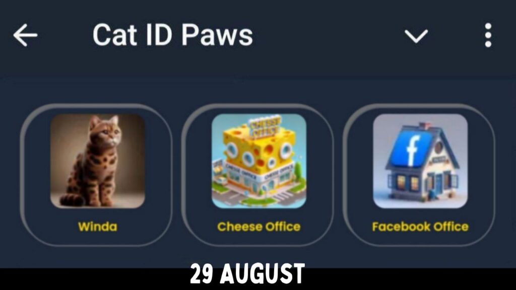 CatIdPaw daily combo 29 August