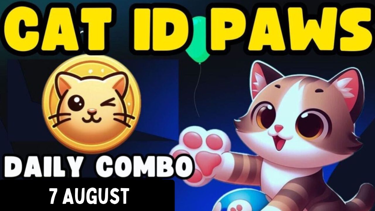 CatIdPaw daily combo 7 August