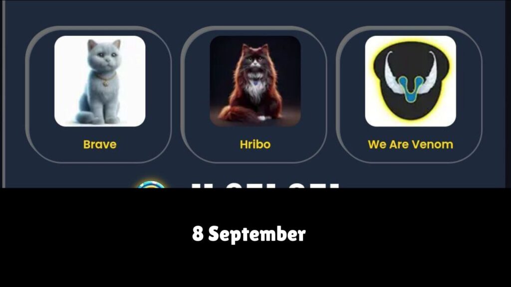 CatIdPaw daily combo 8 September